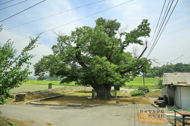 대표시청각 이미지