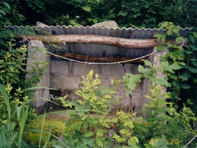 도전리 금곡 산신당(하당) 썸네일 이미지