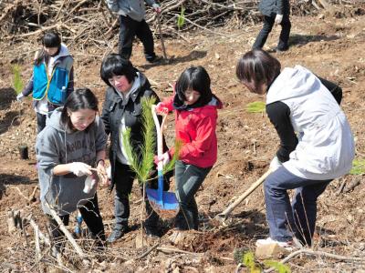 제천산림조합 식목일 나무 심기 썸네일 이미지